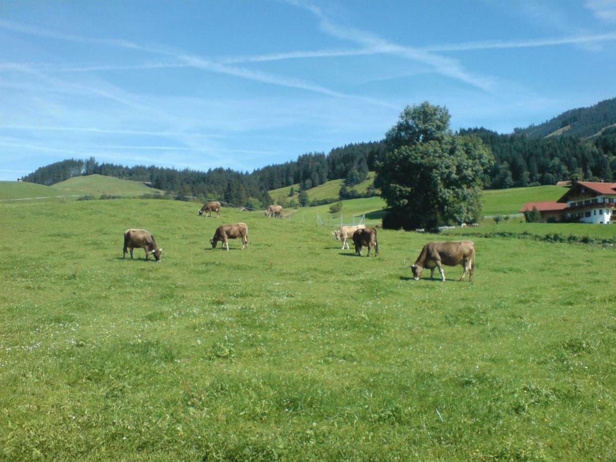 Ferienhof Alfred Albrecht Oberstdorf Eksteriør billede