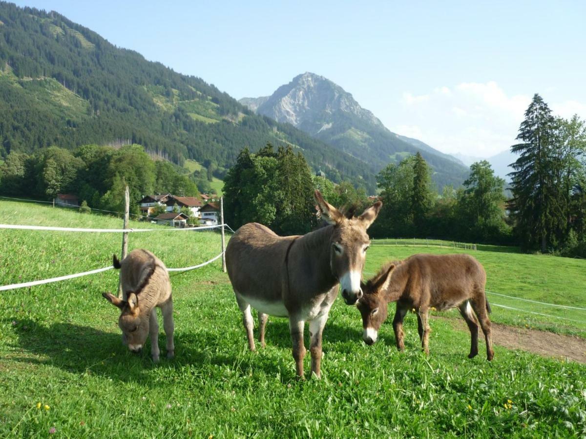 Ferienhof Alfred Albrecht Oberstdorf Eksteriør billede