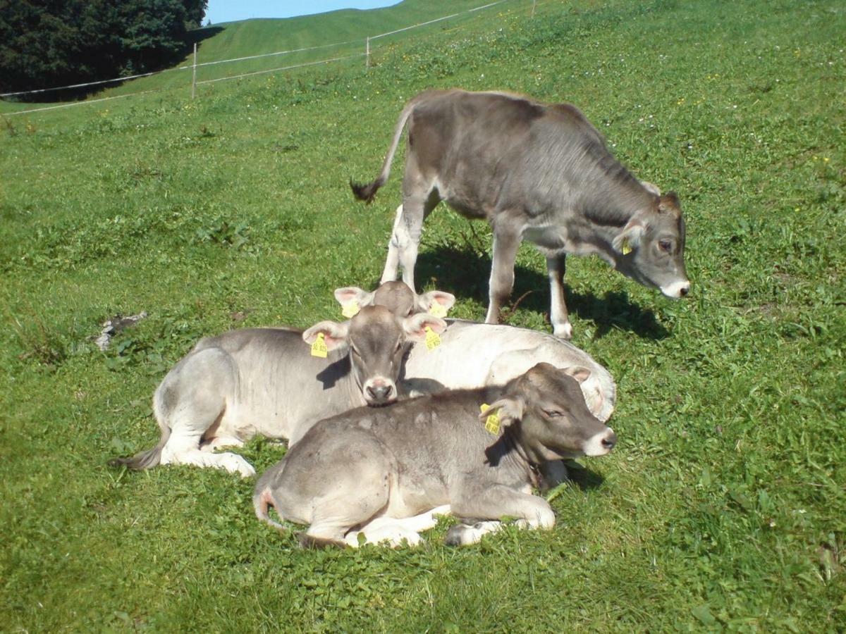 Ferienhof Alfred Albrecht Oberstdorf Eksteriør billede